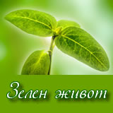 Green live